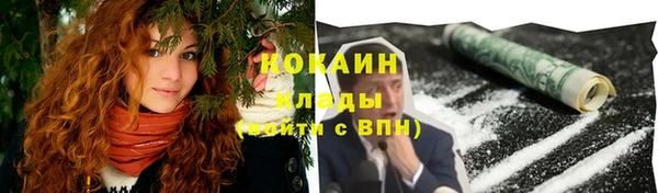 прущие грибы Осинники