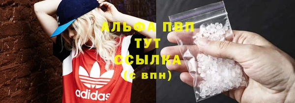 прущие грибы Осинники