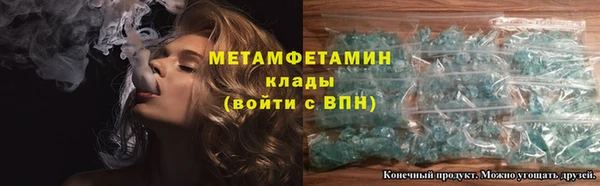 прущие грибы Осинники