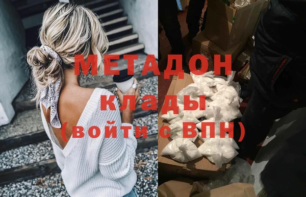 прущие грибы Осинники