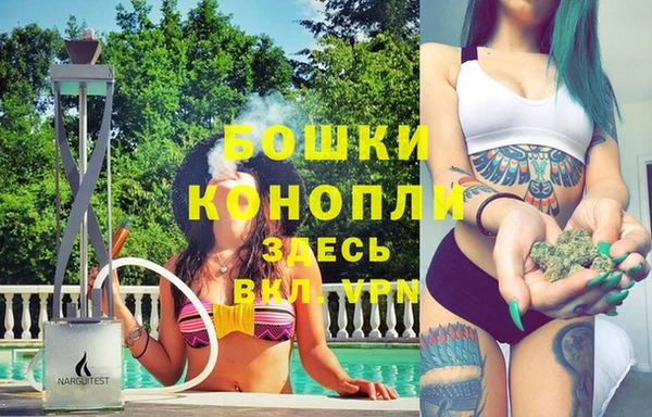 прущие грибы Осинники