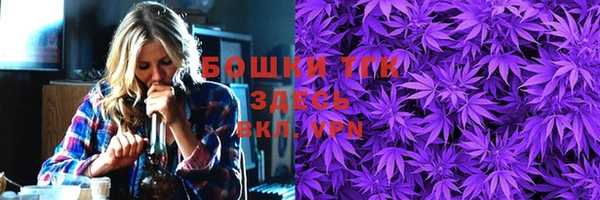 прущие грибы Осинники