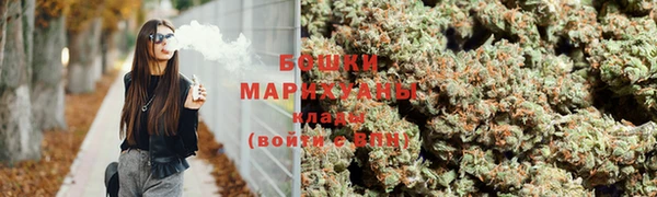 прущие грибы Осинники
