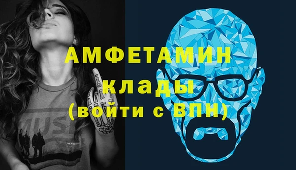 прущие грибы Осинники