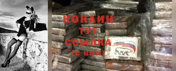 прущие грибы Осинники